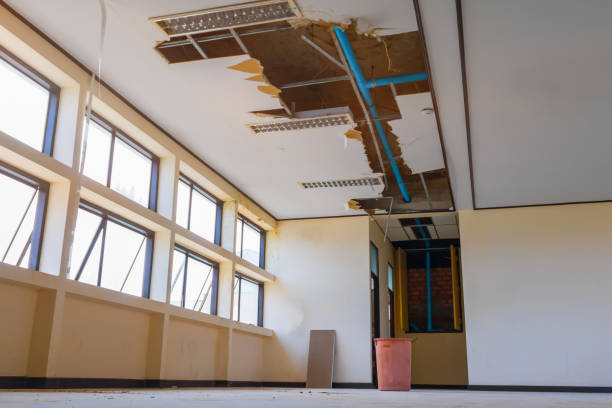  Fridley, MN Water damage restoration Pros