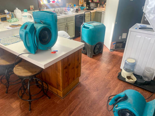 Best Water damage contractors near me  in Fridley, MN