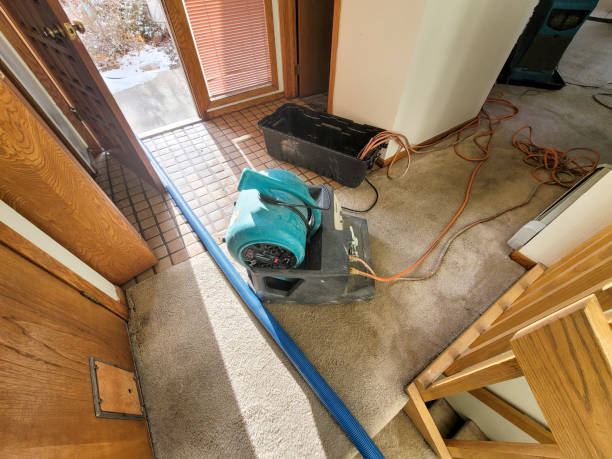 Best Residential water damage restoration  in Fridley, MN