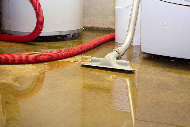 Best Emergency water damage restoration  in Fridley, MN