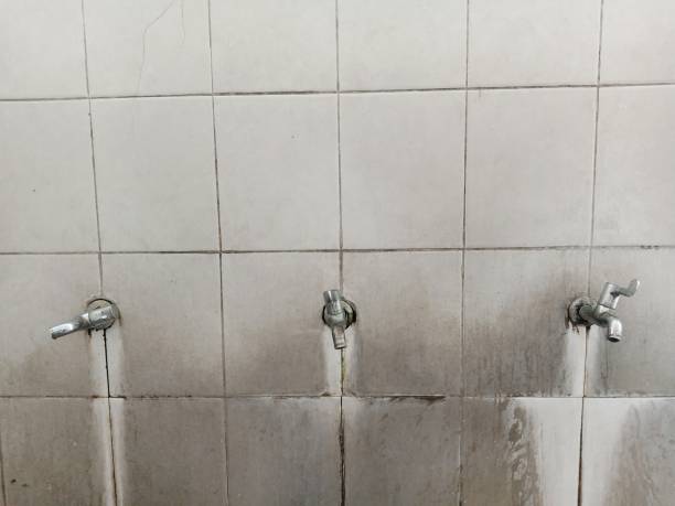 Best 24/7 water damage repair  in Fridley, MN