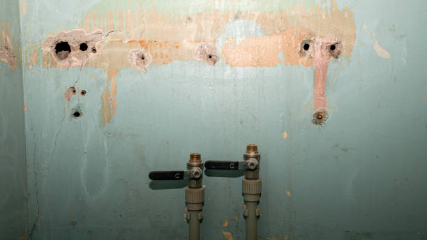 Best Professional water damage repair  in Fridley, MN