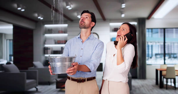 Best Local water damage restoration  in Fridley, MN
