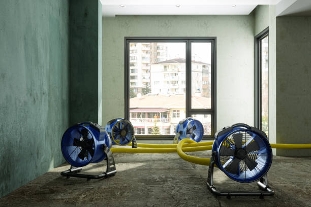 Best Basement water damage restoration  in Fridley, MN