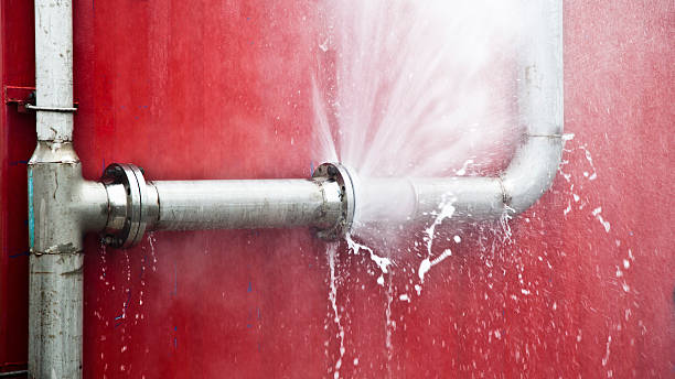 Best 24/7 water damage repair  in Fridley, MN