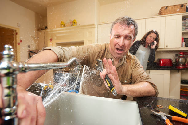 Best Commercial water damage restoration  in Fridley, MN
